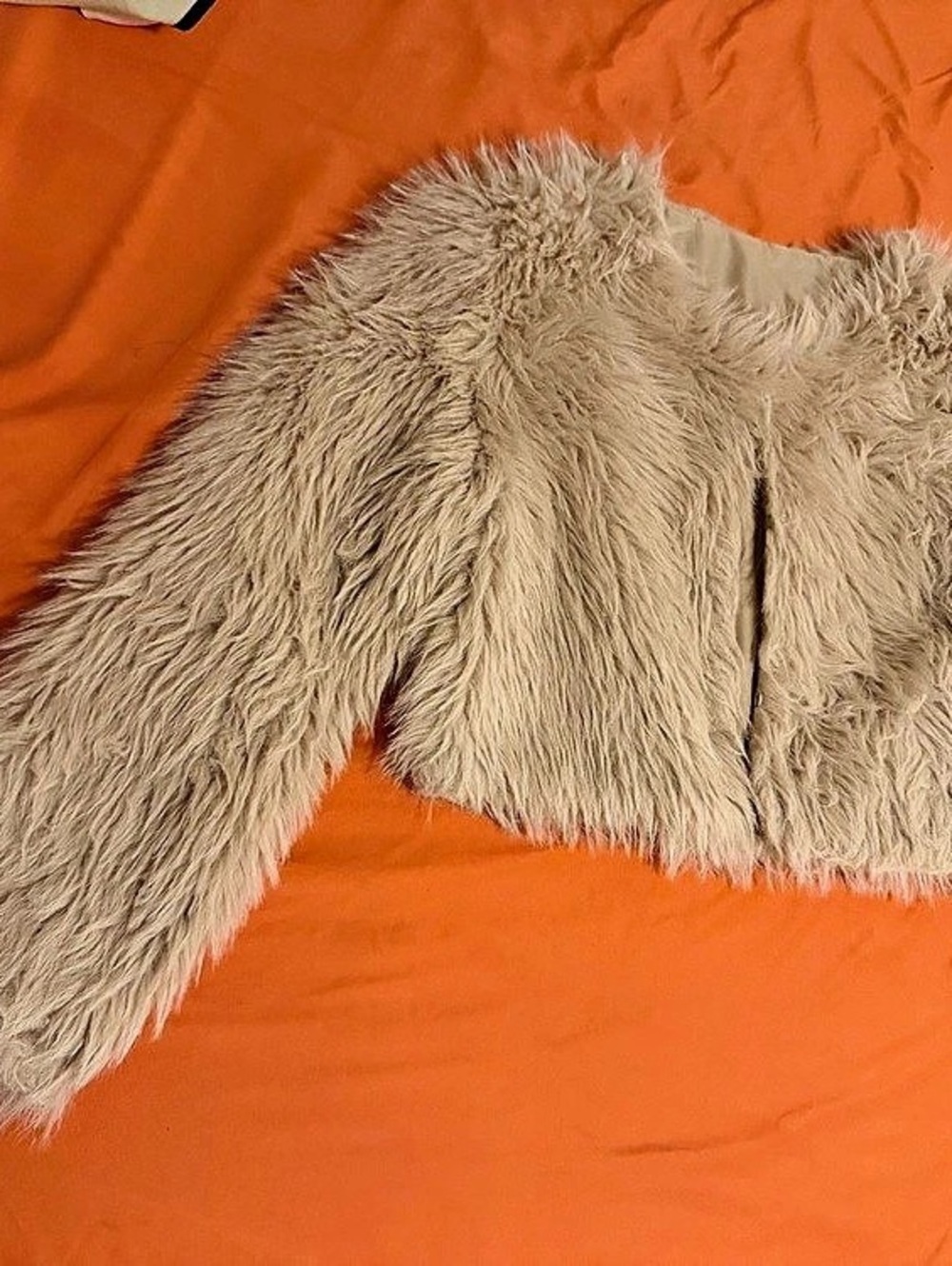 Faux Fur Teddy Jacket in Beige Like New